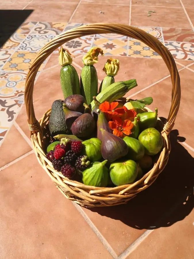 Rural Home, Finca Ecocielo Vega de San Mateo Σαλέ